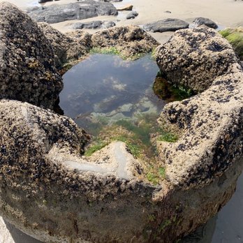 Moeraki Boulders Cafe - Cafes Near Me Moeraki Boulders Cafe - Cafes Near Me