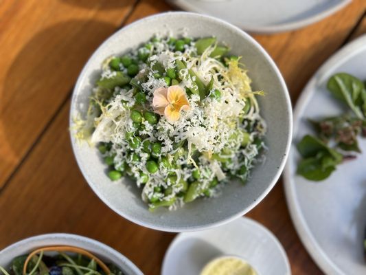 Forum at Meadowood by null