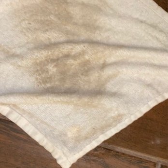 Quality Inn & Suites - The wash cloth used to wipe the floor, wiped only about 5 minutes after we were in the room. - Hotels Near Me - Glen Rose, Texas Quality Inn & Suites - The wash cloth used to wipe the floor, wiped only about 5 minutes after we were in the room. - Hotels Near Me - Glen Rose, Texas