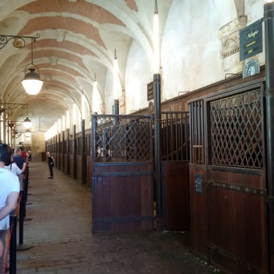 Grande Écurie by null