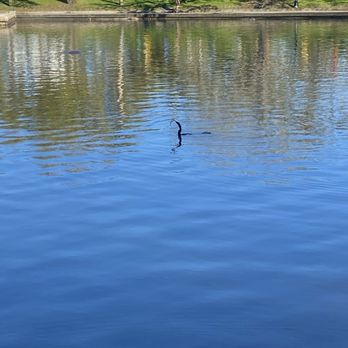 Craig Park - Parks Near Me - Tarpon Springs, Florida Craig Park - Parks Near Me - Tarpon Springs, Florida