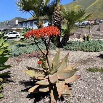 Dinosaur Caves Park - Parks Near Me - Pismo Beach, California