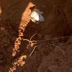 All Care Plumbing Services