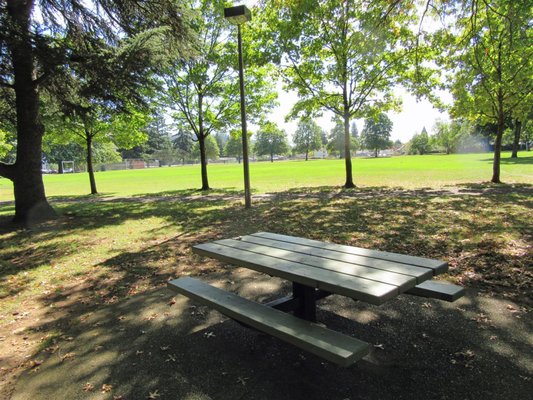 Glenwood Park by null