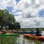 Coastal Kayak Tours