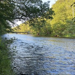 Deerpark NYC Campground