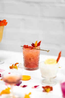 Snake Oil Cocktail Company by null