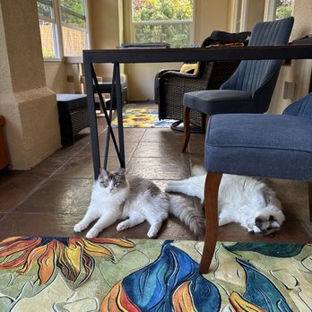 Petkus Brothers - Resting time after much playing! - General Contractors Near Me - Rocklin, California Petkus Brothers - Resting time after much playing! - General Contractors Near Me - Rocklin, California