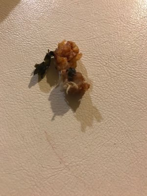 Mehmets Heaven by null