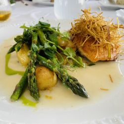 Barroco - Salmón