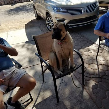 Grumpy Gringo Fine Cigars - Bo, one of the regulars. - Tobacco Shops Near Me - Tubac, Arizona