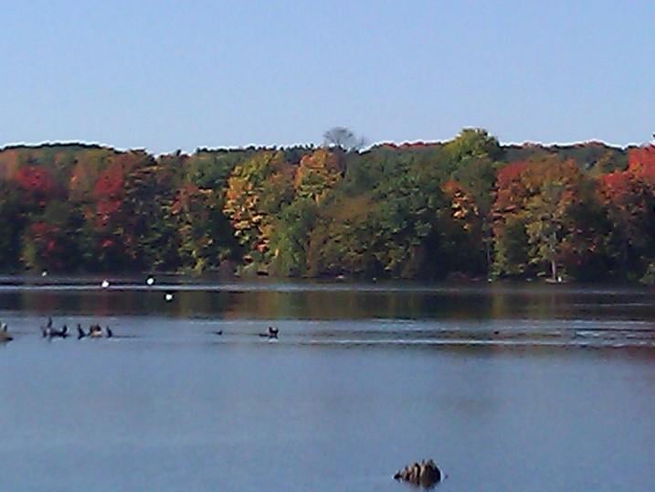 LAKE POINTE VILLAGE APARTMENTS Updated August 2024 1646 Maple Ridge