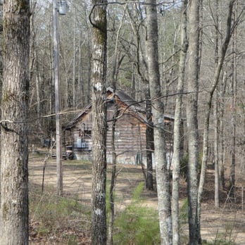Our Lone Cedar Cabin Yelp