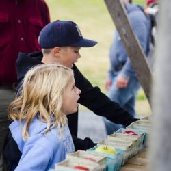 Champlain Orchards - Young visitors discover the colors and flavors of apple season at Champlain Orchards in Shoreham, Vermont.