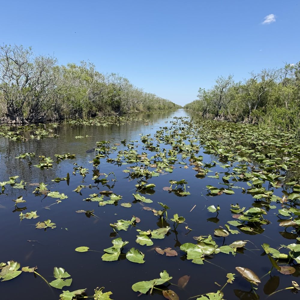Everglades Airboat Expeditions - Boat Tours Near Me Everglades Airboat Expeditions - Boat Tours Near Me