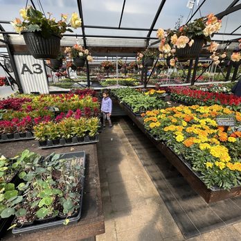Fruitful Farm & Nursery - Nurseries & Gardening Near Me - Arlington, Washington Fruitful Farm & Nursery - Nurseries & Gardening Near Me - Arlington, Washington
