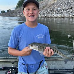 Ty 1 On Fish'n