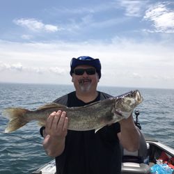 Niagara River Guide service - Big fat walleye in the boat