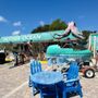Photo of Mother Ocean Key largo