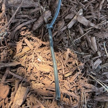 First Choice Landscaping & Concrete - Drip line was cut and tied in a knot - Landscape Architects or Designers Near Me