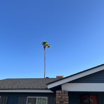 Hummingbird Tree Care - Tree Services Near Me - Phoenix, Arizona Hummingbird Tree Care - Tree Services Near Me - Phoenix, Arizona