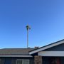 Photo of Hummingbird Tree Care