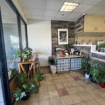 Le Hérisson - Beautiful plants - Cafes Near Me - Simi Valley, California Le Hérisson - Beautiful plants - Cafes Near Me - Simi Valley, California