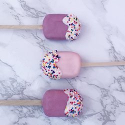 The Cake Pop Factory - Dipped mini cakesicles