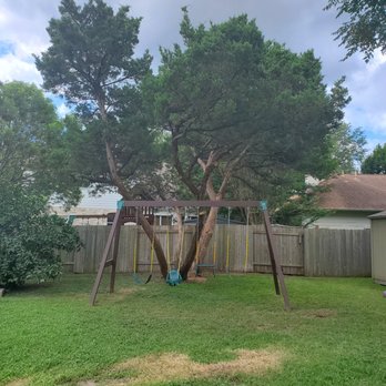 Sunlight Tree Service - Tree Services Near Me