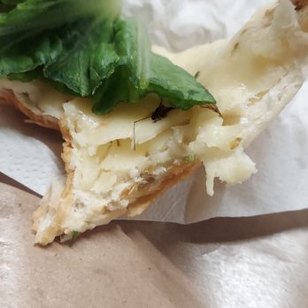 Pauli's - Looks like a dragonfly or mosquito - Sandwiches Near Me - Boston, Massachusetts Pauli's - Looks like a dragonfly or mosquito - Sandwiches Near Me - Boston, Massachusetts