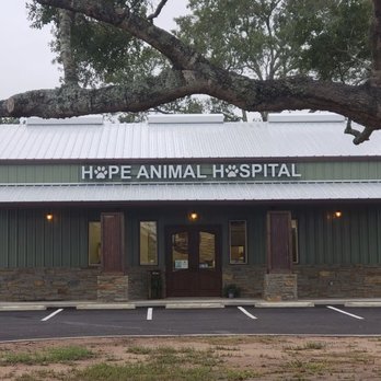 Hope Animal Hospital - Veterinarians Near Me - Angleton, Texas
