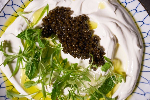 Pearl Street Caviar by null