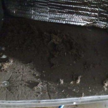 Divine Intervention - Dirty duct before Divine Intervention - Heating & Air Conditioning/HVAC Near Me Divine Intervention - Dirty duct before Divine Intervention - Heating & Air Conditioning/HVAC Near Me