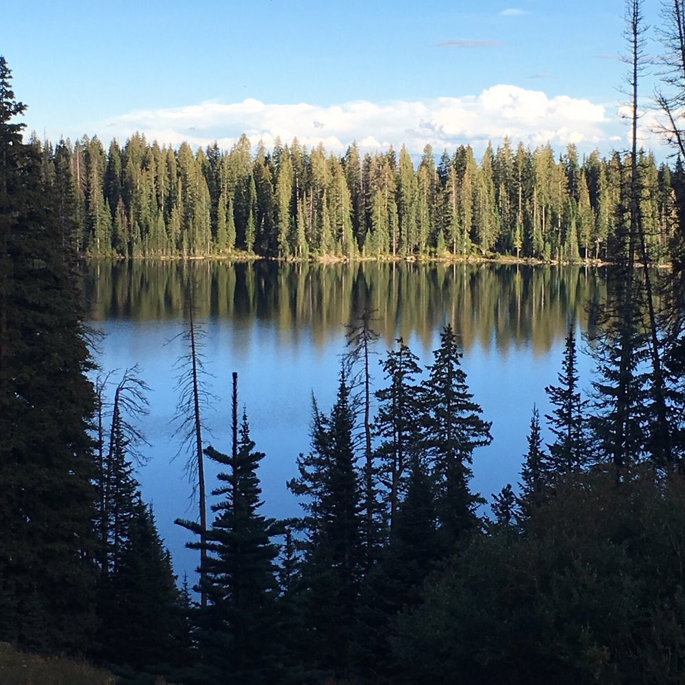 View from our Cabin number 13 Grand Mesa Lodge in Cedaredge