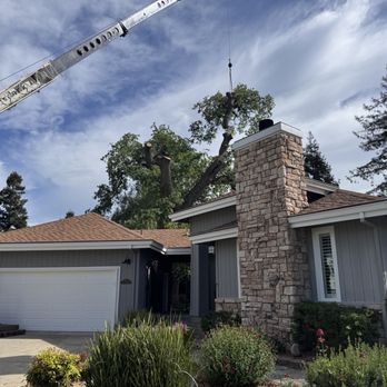 Julian Tree Care - Tree Services Near Me Julian Tree Care - Tree Services Near Me