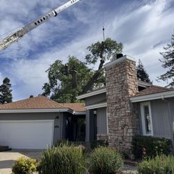 Julian Tree Care
