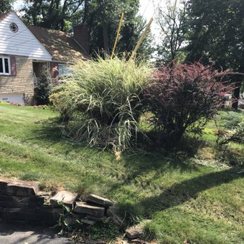 A & S Landscaping - Bush that he ran over and tore up. - Landscaping Near Me - Canonsburg, Pennsylvania A & S Landscaping - Bush that he ran over and tore up. - Landscaping Near Me - Canonsburg, Pennsylvania