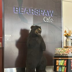 Bearspaw Cafe - Outside