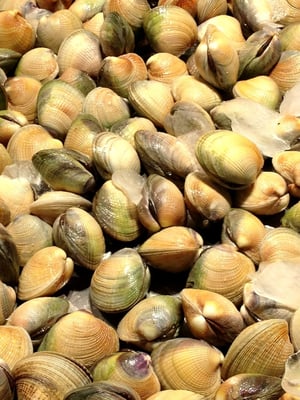 Kailis Bros Leederville by null