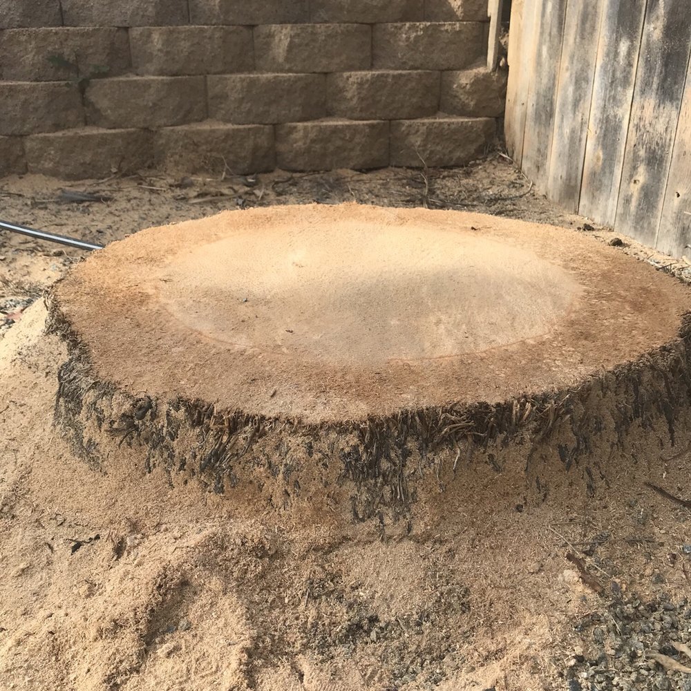 LTC Forestry - We could not grind the stump because a gas line, but James did an amazing job taking it at low as he could. - Tree Services Near Me LTC Forestry - We could not grind the stump because a gas line, but James did an amazing job taking it at low as he could. - Tree Services Near Me