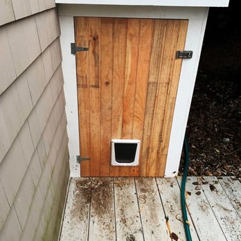Felipe Gomes - cat house before painting - General Contractors Near Me
