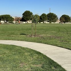 Fresh grass as always taking good care of