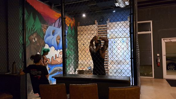 Chops + Hops | Axe Throwing Lodge by null