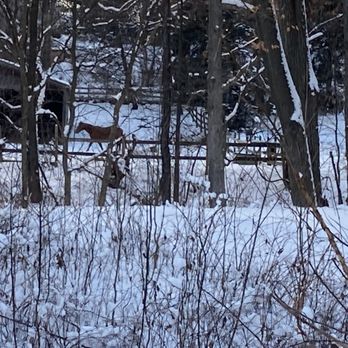 Kensington Metropark - Horseback Riding Near Me - Milford, Michigan