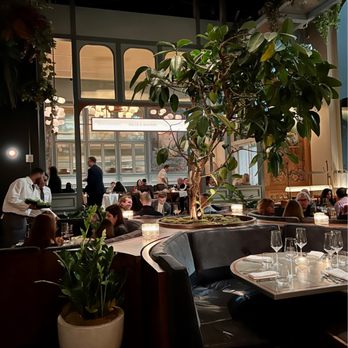 Quality Bistro - Dreamy dinner ambience. - French Near Me - New York, New York Quality Bistro - Dreamy dinner ambience. - French Near Me - New York, New York