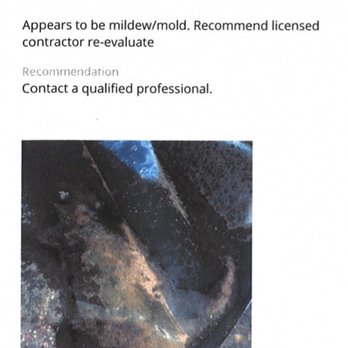 Holt Homes - Mold growing in the crawl space. - Home Developers Near Me - Vancouver, Washington