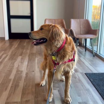 1. Eagle Rock Veterinary Clinic