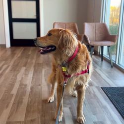 Eagle Rock Veterinary Clinic