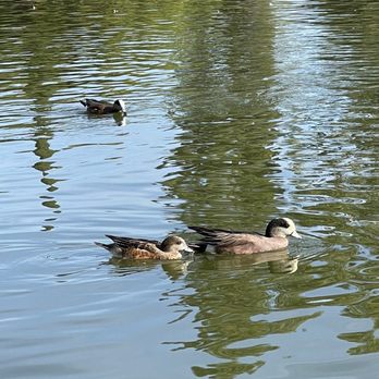 Almansor Park - Parks Near Me - Alhambra, California