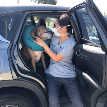 Veterinary Eye Clinic - Dr Sheahan and Buster "B-man" - Veterinarians Near Me - Alhambra, California Veterinary Eye Clinic - Dr Sheahan and Buster "B-man" - Veterinarians Near Me - Alhambra, California